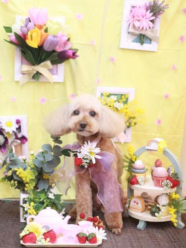 20230312てぃちゃん